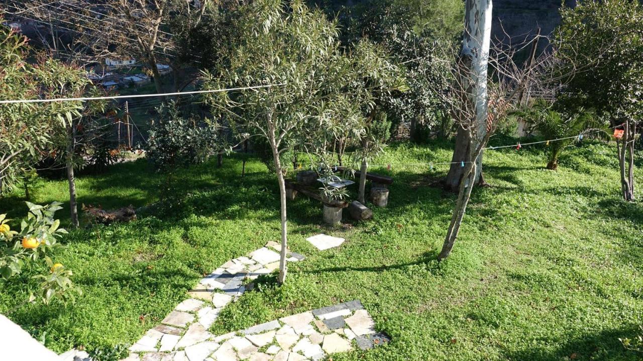 Villa The Old Olive Mill House à Aegae Extérieur photo