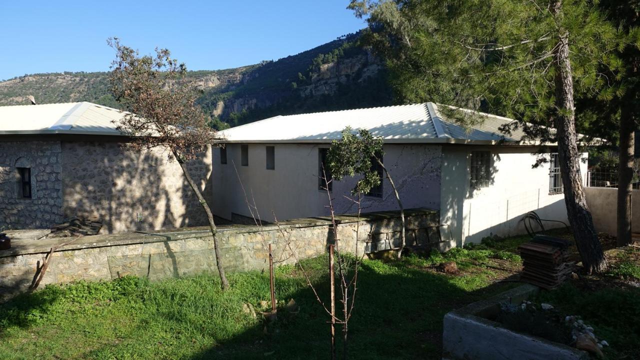 Villa The Old Olive Mill House à Aegae Extérieur photo